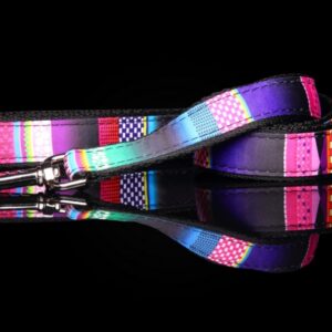 Vôdzky,obojky,postroje