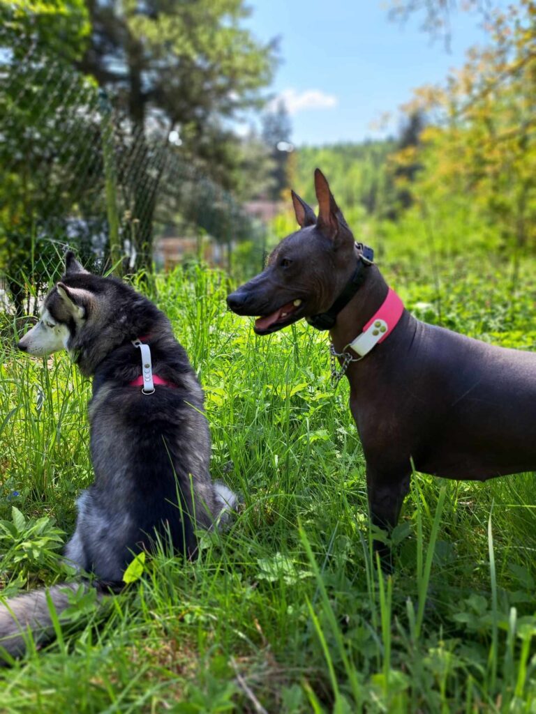 e8be5dc0-0ac7-48c5-9d2f-72874af0c146